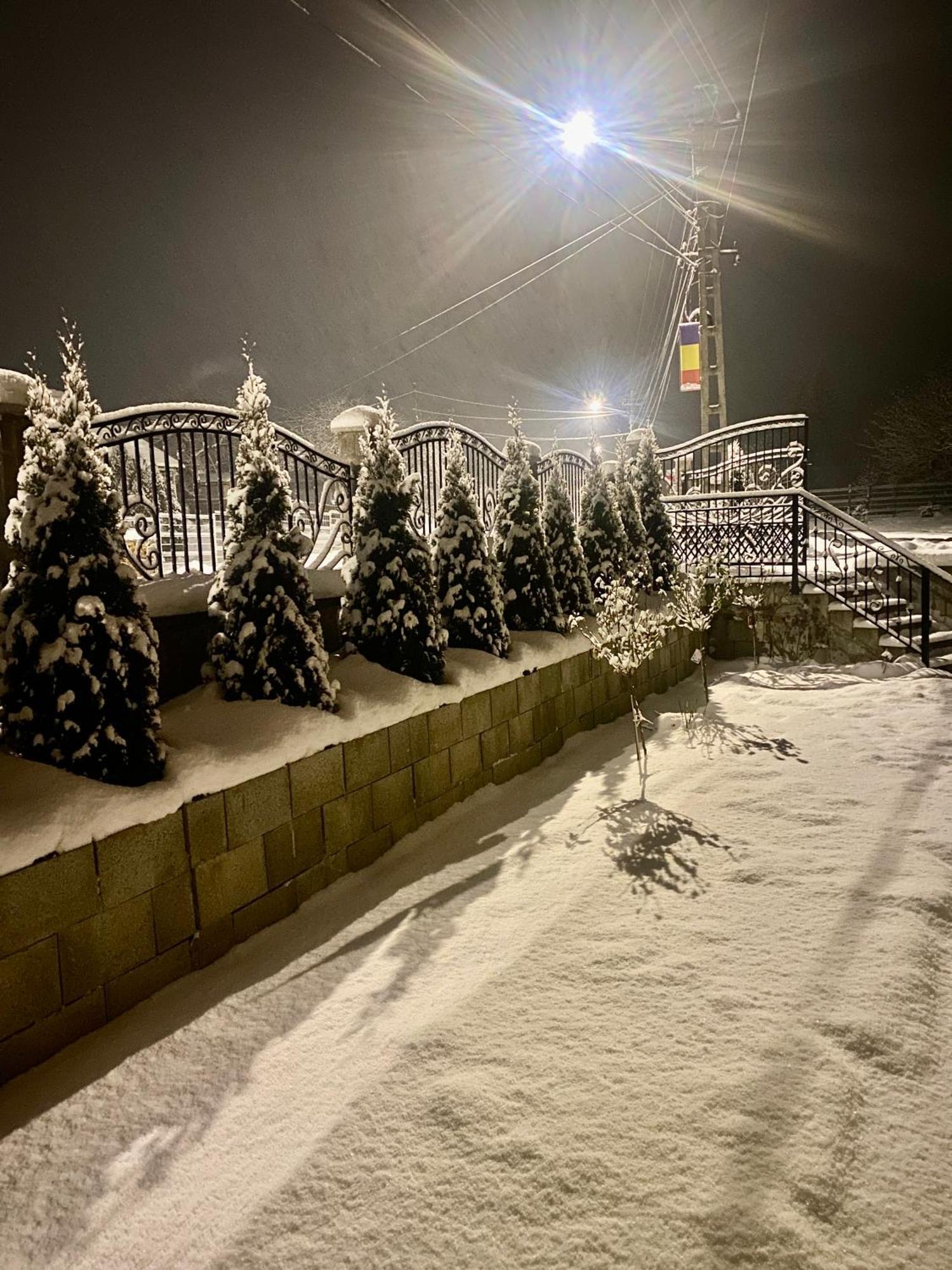 Pensiunea Casa Pancu Ceahlău Exterior foto