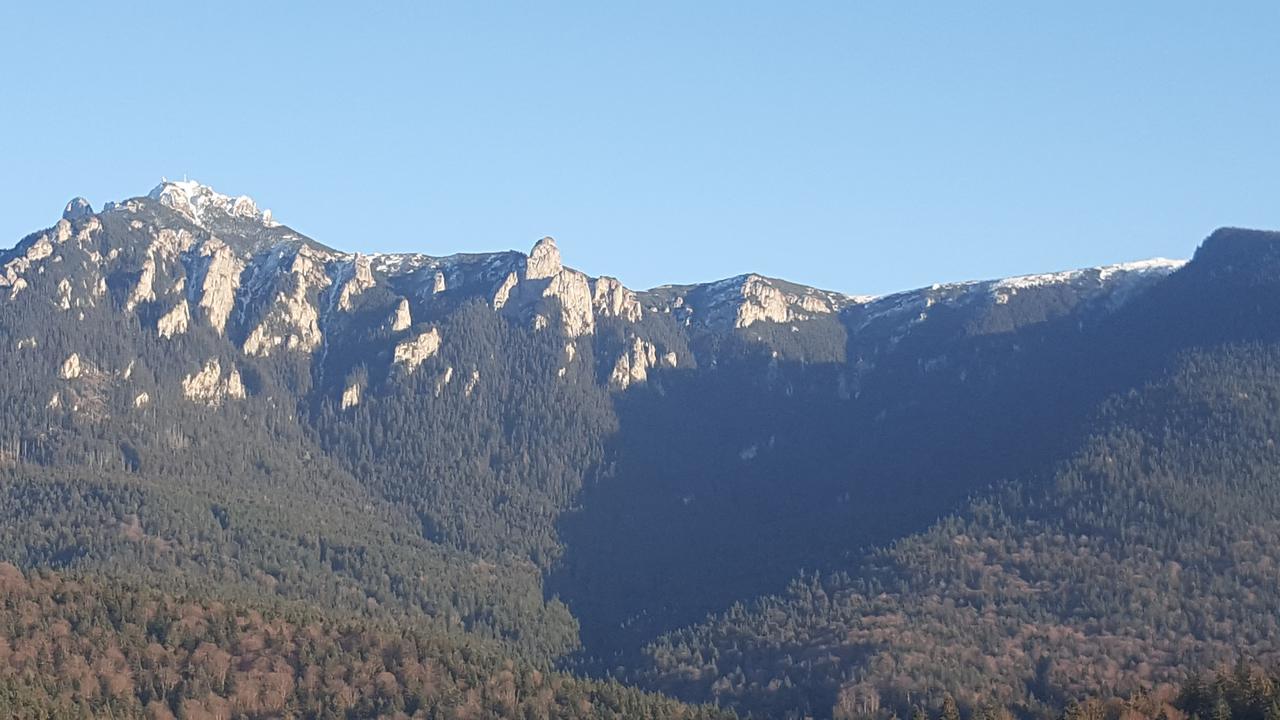Pensiunea Casa Pancu Ceahlău Exterior foto