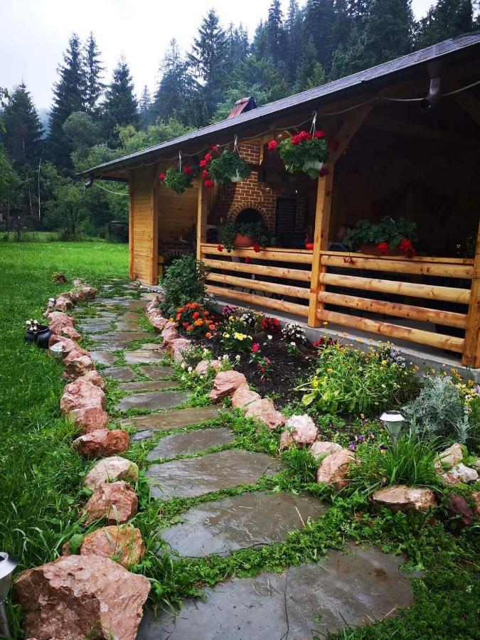 Pensiunea Casa Pancu Ceahlău Exterior foto
